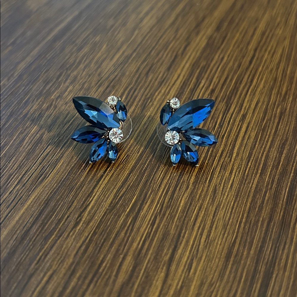 Elegant Blue and Silver Stud Earrings